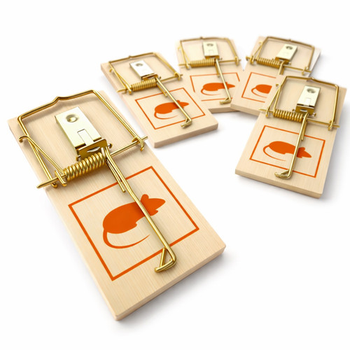 Wooden mouse traps snap - snap, action