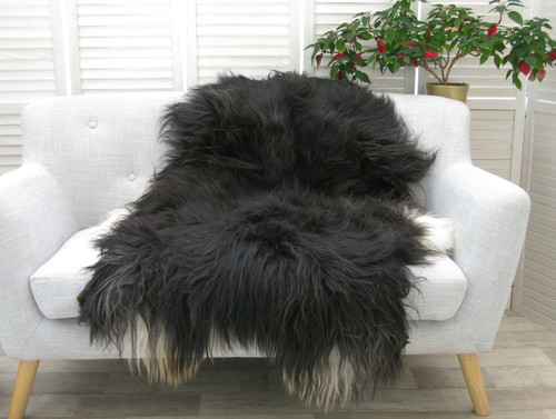Black grey icelandic - grey,
