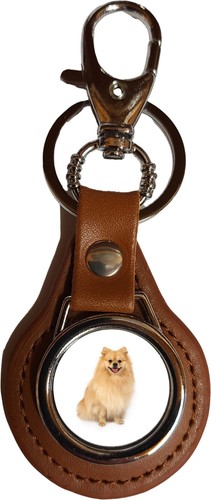 Pomeranian dog pet brown - brown, pu