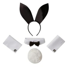 Playboy Bunny Costume