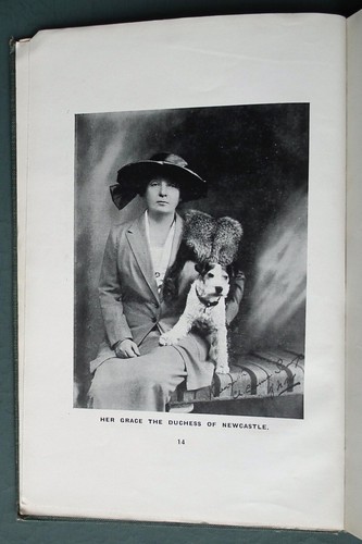 Breeding fox terriers sidney - breeding,