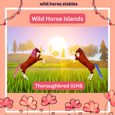 Wild Horse Islands -