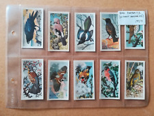 Brooke Bond-Bird Portraits (no address)(1957)-Full set of 50 in sleeves-VG