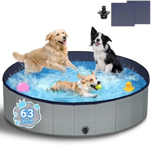 Dog paddling pool - paddling, 2026