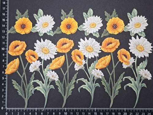 Poppies and dasies - poppies,