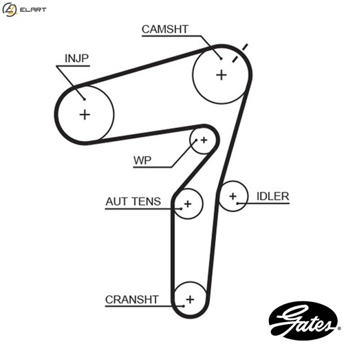 Timing belt 5623xs - 5623xs, suzuki