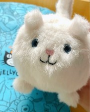 Cuddly Jellycat Kitten