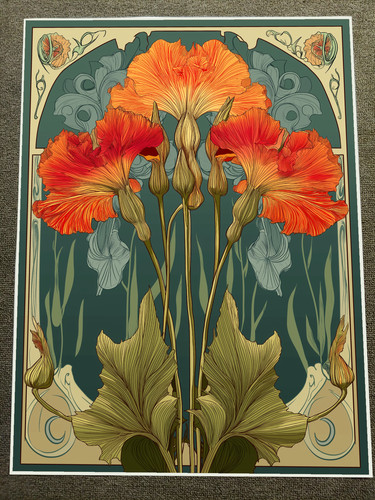 Vibrant orange and red iris - vibrant,