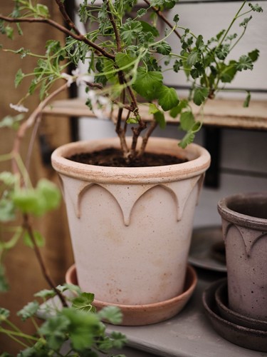 Bergs potter raw - bergs, rose