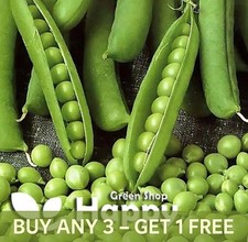 VEGETABLE SEEDS EARLY PEA -
