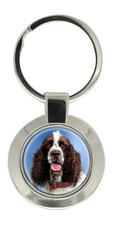 English Springer Spaniel Key