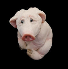 Piggin Desperate David