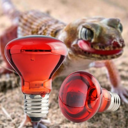 Red infrared heat - heat, bulb