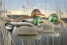 Duck Decoys set of 6 GHG Life