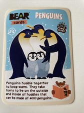 YoYo Bear 2022 card 15/60 PENGUINS NEW