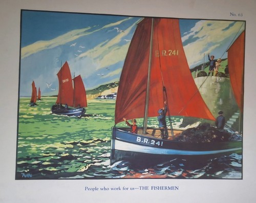 Macmillan educational poster - educational,