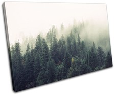 Misty Forest Nature Landscapes