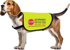 Service Dog Jacket Vest - I