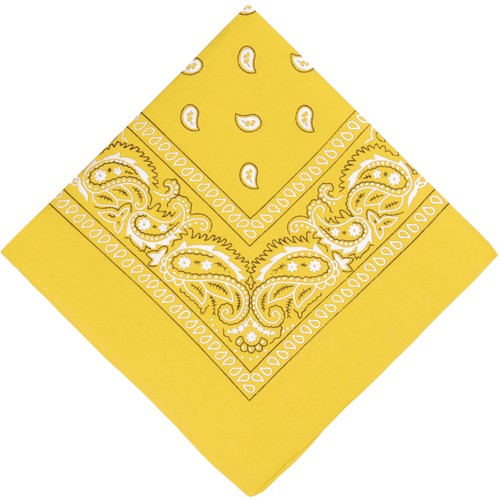 Mens ladies classic paisley - mens,