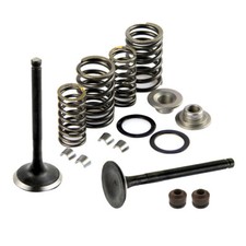 Valve Assembly - Cylinder Head Parts Valve Set, Engine Parts for 125cc 150cc GY6