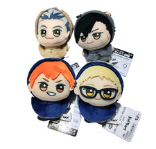 Haikyuu!! Chibi Plush –