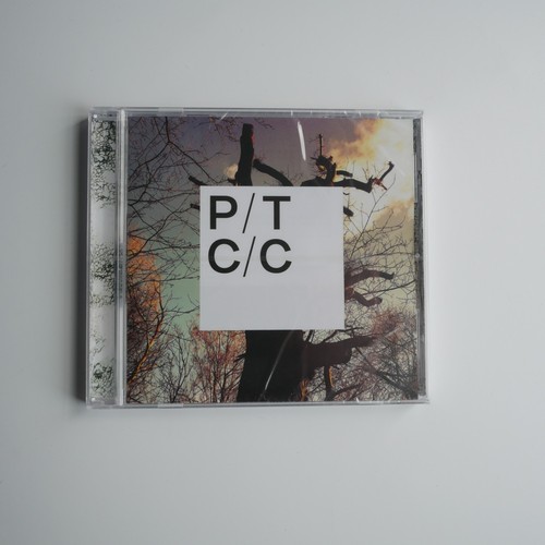 Porcupine tree - porcupine,