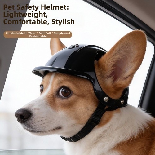 Pet cats dogs puppy motorcycle - pet,