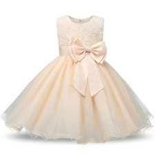 Flower Girls Bridesmaid Dress Baby Kids Party Lace Bow Wedding Dresses Princess