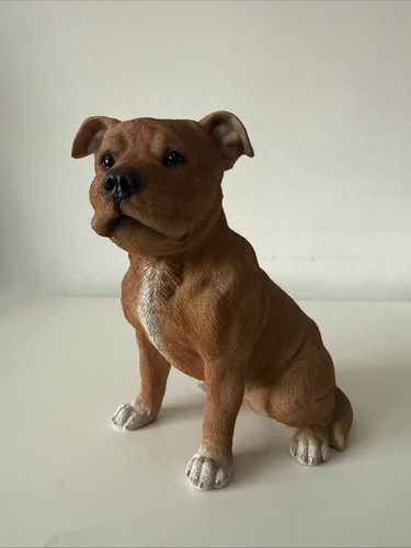 Staffordshire bull terrier - staffordshire,