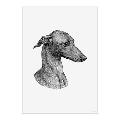Whippet dog portrait wall - 'whippet,