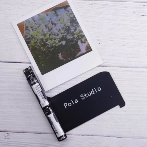 Camera adapter for - camera, polaroid