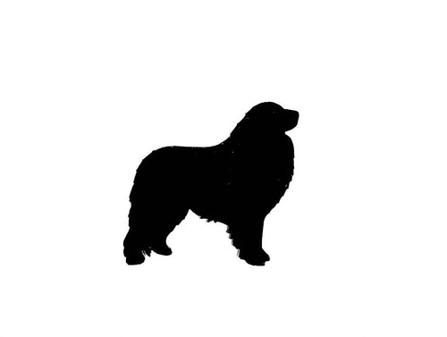 Pyrenean mountain dog - mountain,