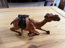 Beautiful Dromedary Camel with