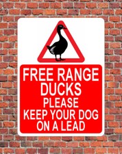 FREE RANGE DUCKS KEEP DOGS ON