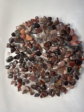 100g Fossil Wood Crystal Chips
