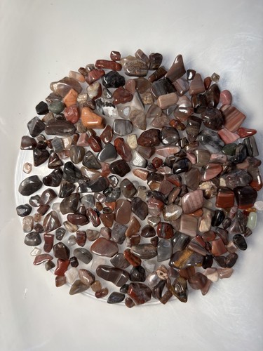 100g fossil wood crystal - fossil,