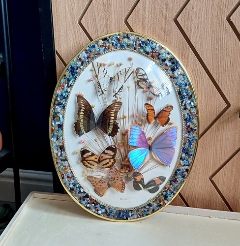 Vintage alternative framed - vintage,