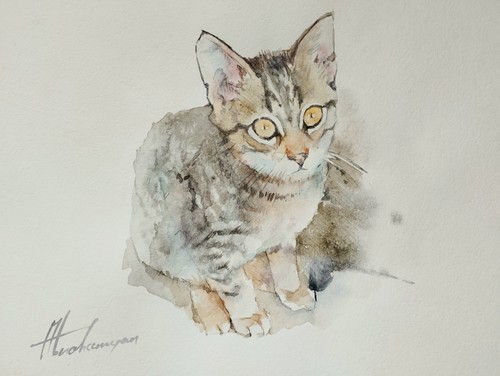 Kitten animal watercolor - kitten,,