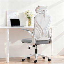 Office Chair, Ergonomic Desk