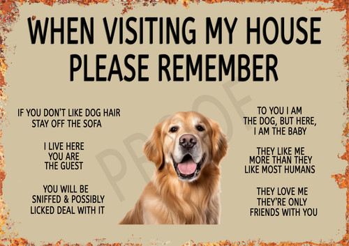 Funny dog golden retriever - funny,