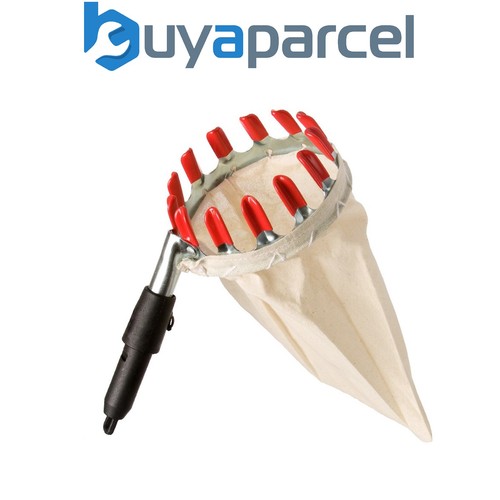 Darlac swop top fruit - top,