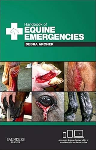 Handbook equine - handbook, of