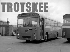 Larger Negative Yorkshire