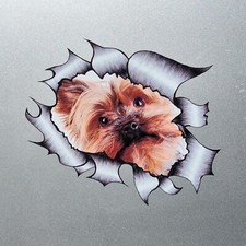 Cute Yorkshire Terrier Puppy Dog Ripped Open Metal Vinyl Sticker Decal 115x90mm