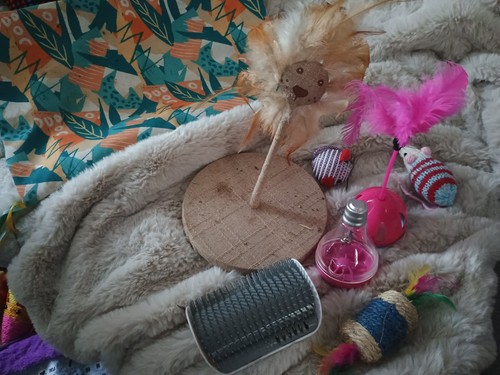 Cat toy bundle - toy,