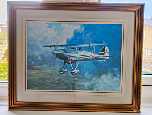 Gerald coulson hawker fury - gerald, 11