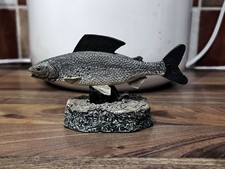 The Anglers Showcase