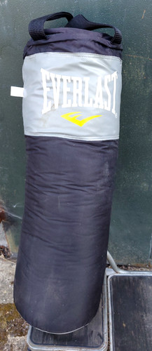 Everlast punch bag - everlast,