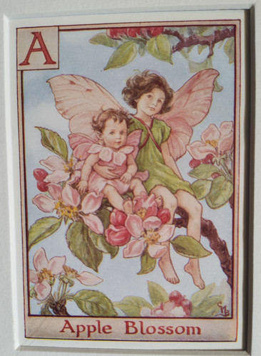 Vintage flower fairies print - flower,