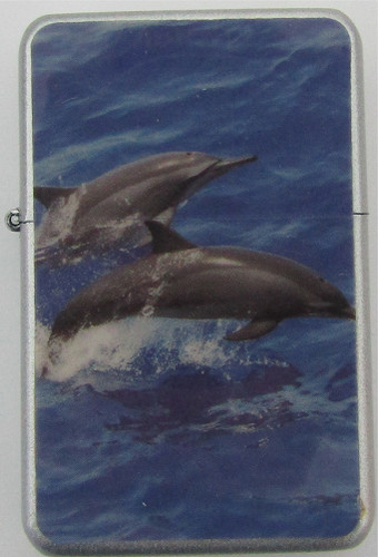 Dolphin design star lighter - star, in